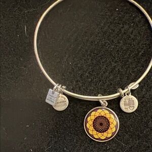 Alex and Ani enameled medallion charm bracelet, silver tone, 2014